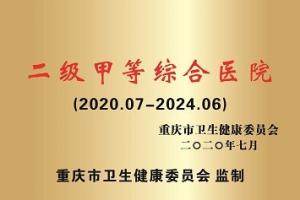 医院荣誉