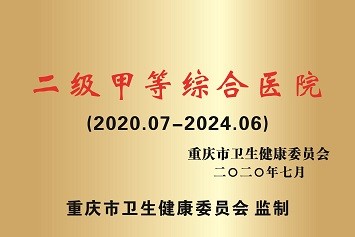 二级甲等综合医院